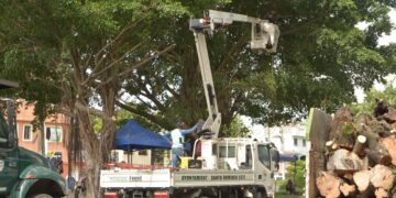 ASDE  Intensifica operativos de limpieza, Iluminación y poda de árboles ante temporada ciclónica 2024