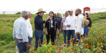 Cientos de personas acuden a Feria de Empleo de Proindustria, en Zona Franca en Peravia 