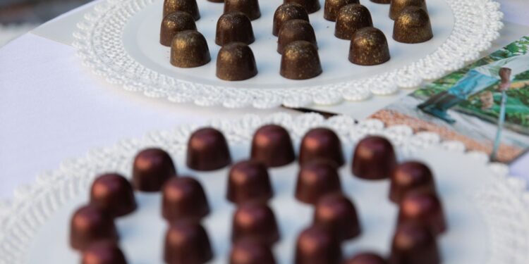 La cónsul general de RD en Milán promueve el país en prestigiosa gala diplomática