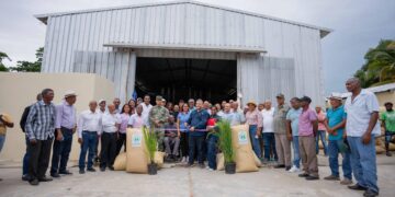 FEDA impulsa cultivo del arroz para garantizar seguridad alimentaria