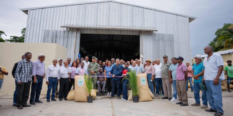 FEDA impulsa cultivo del arroz para garantizar seguridad alimentaria