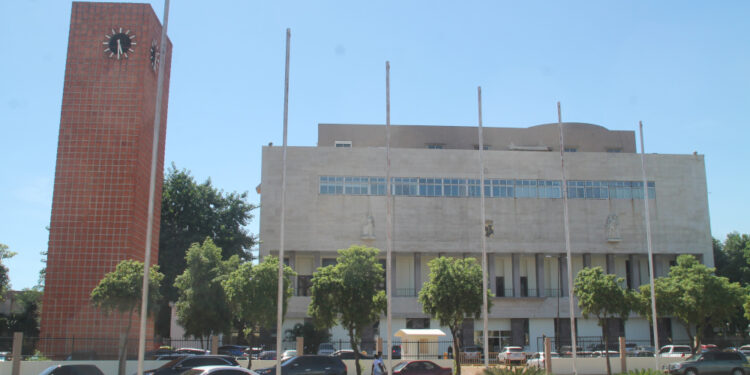 Alcaldía del DN no autorizó poda de árboles en el Mirador Sur