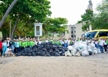 Tribunal Superior Electoral participa en jornada de limpieza en playa Montesino
