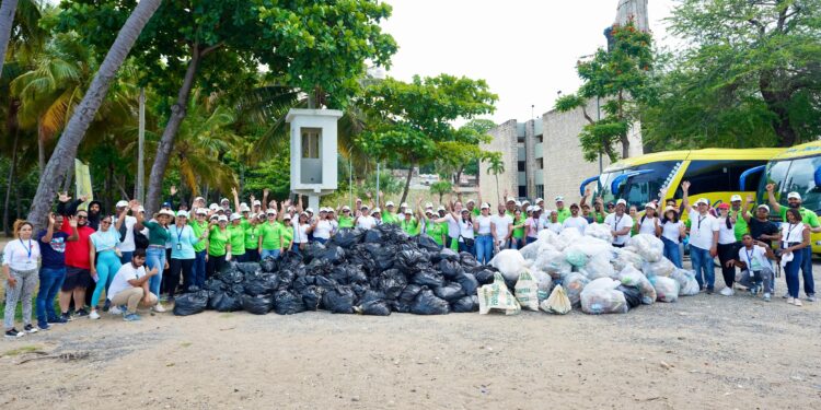 Tribunal Superior Electoral participa en jornada de limpieza en playa Montesino