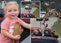 Jirafa levantó de un vehículo a una niña de 2 años en un safari en Texas