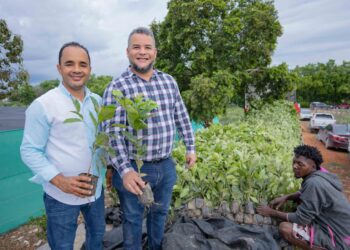 Pedernales busca aumentar y recuperar zona boscosa  Hecmilio Galván ejecuta Salvando Las Montañas en Pedernales