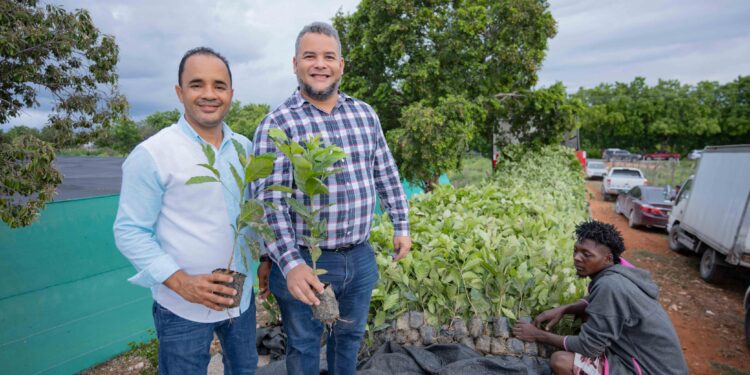 Pedernales busca aumentar y recuperar zona boscosa  Hecmilio Galván ejecuta Salvando Las Montañas en Pedernales