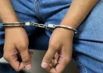 Arrestado un hombre por el robo de postes del tendido eléctrico y un transformador en Barahona