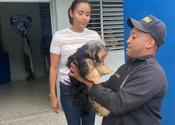 Policía recupera perrita reportada como robada en Los Guaricanos SDN