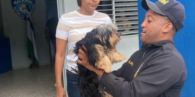 Policía recupera perrita reportada como robada en Los Guaricanos SDN