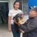 Policía recupera perrita reportada como robada en Los Guaricanos SDN