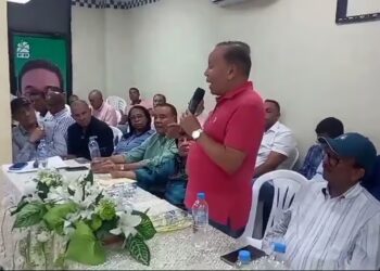 Radhamés: “El pueblo saldrá a buscar a Leonel y lo llevará a empujones al Palacio Nacional