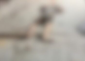 Accidente de tránsito deja tres muertos en Barahona