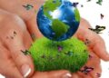 5 de junio: Día Mundial del Medio Ambiente