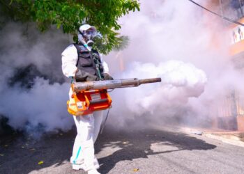 Salud Pública confirma 12 casos de malaria en San Juan