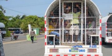 Circula video donde presuntamente haitianos escapan de camión de Migración