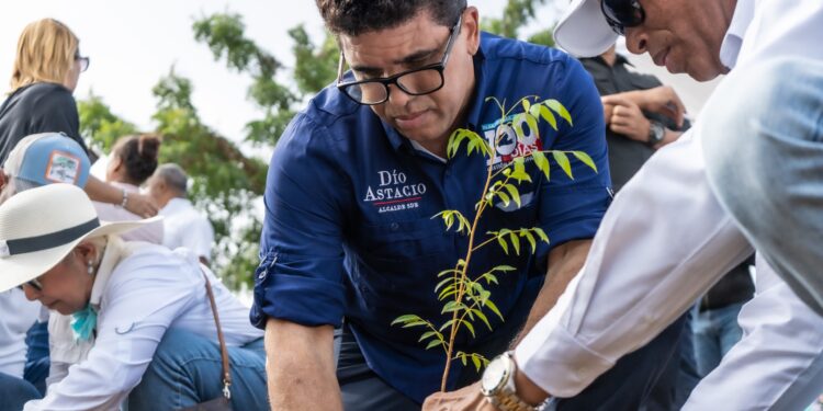El Cabildo de SDE Inicia un plan de reforestación con 3,000 Árboles en la avenida Ecológica