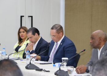 Director de la Defensa Pública realiza observaciones al Proyecto de Ley de Excarcelación para Privados de Libertad