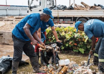 ADN interviene Monumento Fray Antonio de Montesino y su playa