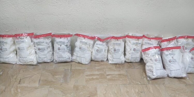 Frustran envío de presunta cocaína a Francia impregnada en 149 prendas de vestir