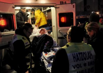 3 muertos y 7 heridos en un parque de New York, atropellados por una camioneta