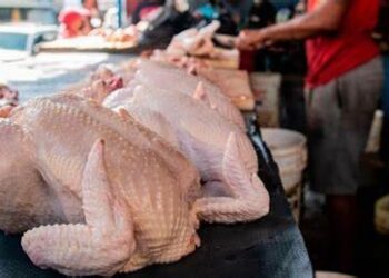 Escasea carne pollo; libra se vende a 85