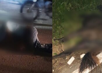 Un muerto y varios heridos tras choque de motocicleta con un caballo