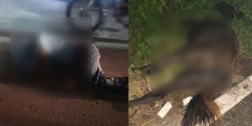 Un muerto y varios heridos tras choque de motocicleta con un caballo