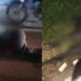 Un muerto y varios heridos tras choque de motocicleta con un caballo