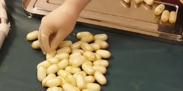 Arrestan a italiano en aeropuerto Punta Cana con 104 bolsitas de presunta cocaína en el estómago