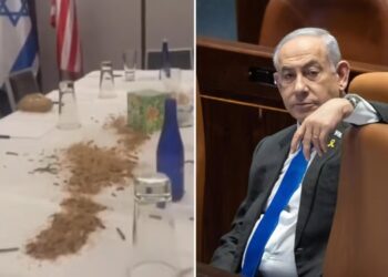 Arrojan gusanos e insectos sobre una mesa preparada para Netanyahu en un hotel de Washington