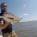 Tiburones en las costas de Brasil dan positivo a cocaína