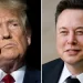 Donald Trump asegura a Elon Musk: “La inmigración ilegal me salvó la vida”