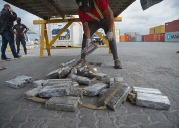 Decomisan 84 paquetes de cocaína en contenedor de mangos y auyamas enviado a Canadá
