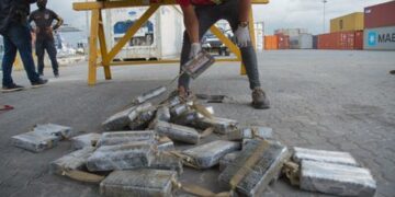 Decomisan 84 paquetes de cocaína en contenedor de mangos y auyamas enviado a Canadá