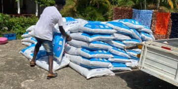 Hanoma Areca denuncia estafa por parte de desaprensivos