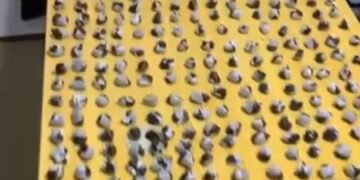 Decomisan arsenal de armas y drogas en Villa España; 2 detenidos