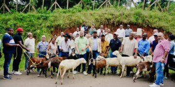 Entregan 200 padrotes para mejorar genética en crianza de chivos y ovejos