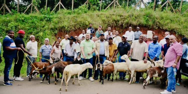 Entregan 200 padrotes para mejorar genética en crianza de chivos y ovejos