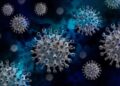 OMS actualizó lista de virus y bacterias que podrían causar la próxima pandemia