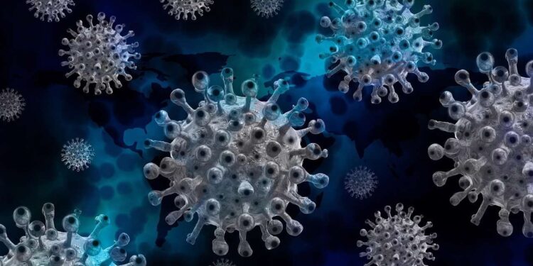 OMS actualizó lista de virus y bacterias que podrían causar la próxima pandemia