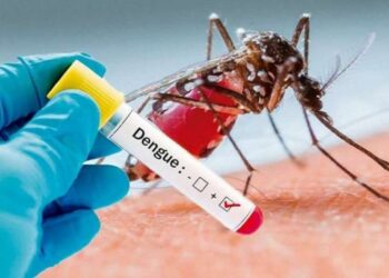 Día Internacional Contra el Dengue