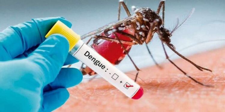 Día Internacional Contra el Dengue
