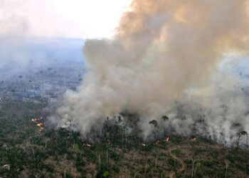 Alerta máxima en 30 ciudades del sureste de Brasil por los incendios forestales