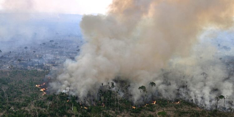 Alerta máxima en 30 ciudades del sureste de Brasil por los incendios forestales