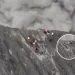 Escaladores logran escapar con vida de la espectacular erupción de un volcán indonesio