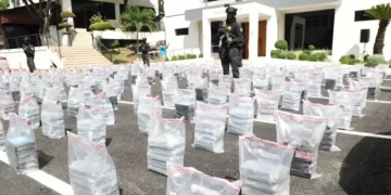 Hallan más de 1.3 toneladas de drogas en contenedores de cacao orgánico