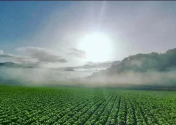 Constanza celebra 117 años de vida municipal