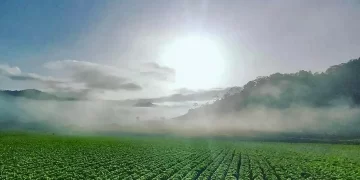 Constanza celebra 117 años de vida municipal