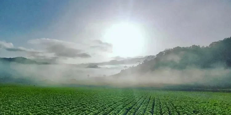 Constanza celebra 117 años de vida municipal